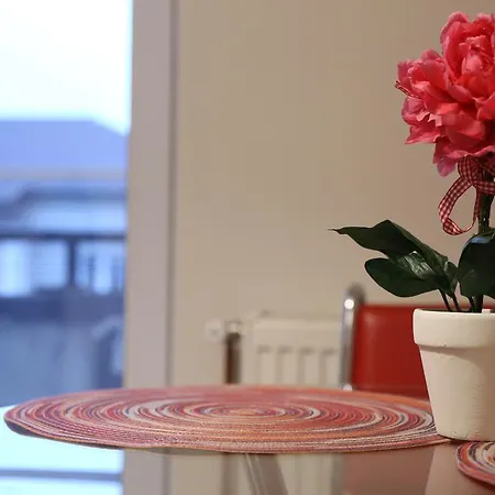 Apartment Corelia Cozy Timisoara